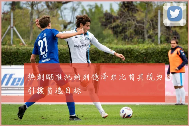 热刺瞄准托纳利德泽尔比将其视为引援首选目标