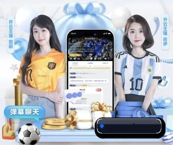 aoa网页版入口的故事